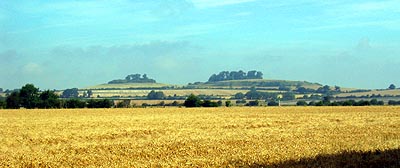 Wittenham Clumps -  Nash Ford Publishing