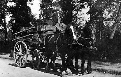 Antique Photograph of a Blandy & Hawkins' Brewers' Dray - this version  Nash Ford Publishing