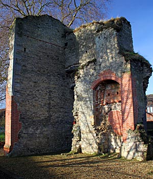 The Ruins of Barton Court -  Nash Ford Publishing
